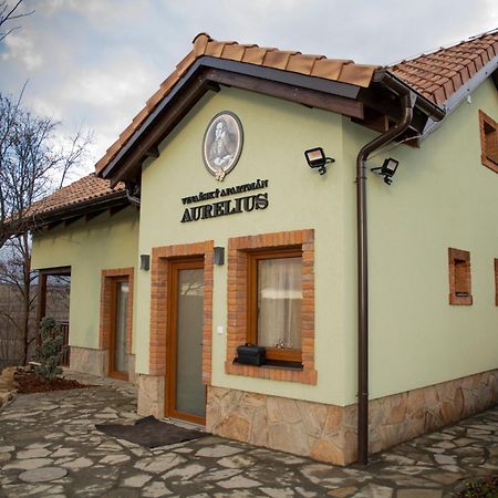 Vinarsky Penzion Andre Velké Pavlovice Dış mekan fotoğraf