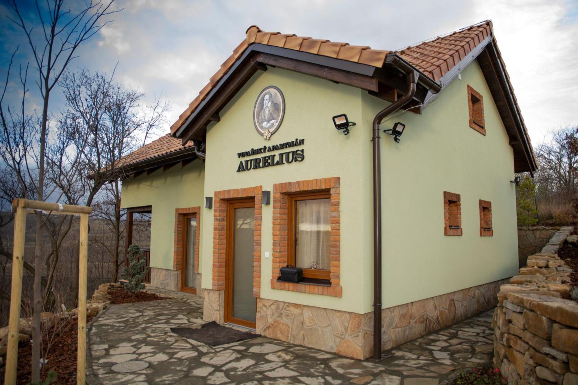 Vinarsky Penzion Andre Velké Pavlovice Dış mekan fotoğraf